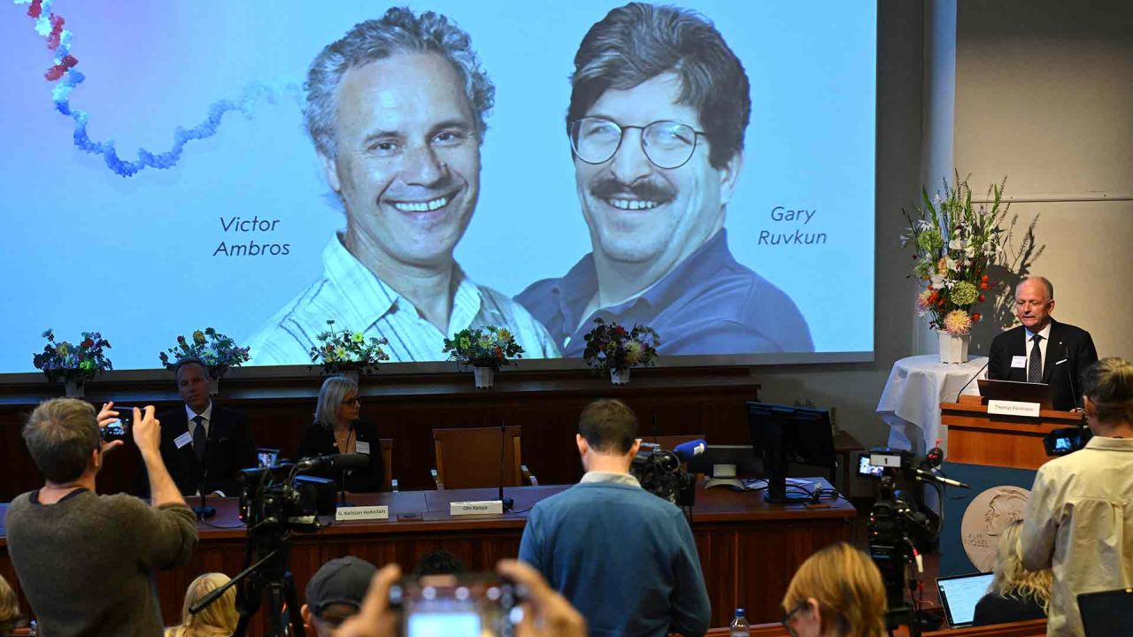 Victor Ambros y Gary Ruvkun, Premio Nobel de Medicina y Fisiología 2024. | Foto:AFP.