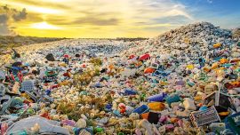 Acumulación de plásticos.