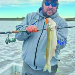 En la Pandorga no está permitido el ingreso con embarcaciones propias que cuenten con motor fuera de borda. Tampoco la pesca de costa. Hay que contratar al único guía habilitado del ámbito.