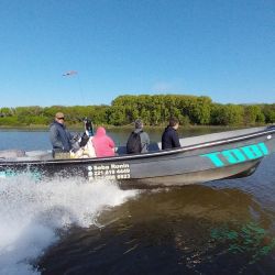 La pesca de la especie se practica en los pozones con más profundidad entre ocho y diez metros, siendo fundamental que haya correntada para tener buenas respuestas.