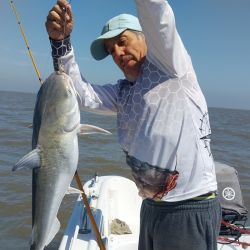 La pesca de la especie se practica en los pozones con más profundidad entre ocho y diez metros, siendo fundamental que haya correntada para tener buenas respuestas.