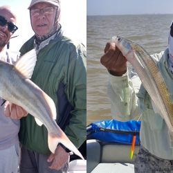 El Río de la Plata sigue brindándonos la chance de pescar pejerreyes, solos o combinando con bagres de mar y tarariras, otras especies para disfrutar en este momento del año. 