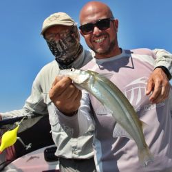 El Río de la Plata sigue brindándonos la chance de pescar pejerreyes, solos o combinando con bagres de mar y tarariras, otras especies para disfrutar en este momento del año. 
