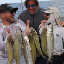 El Río de la Plata sigue brindándonos la chance de pescar pejerreyes, solos o combinando con bagres de mar y tarariras, otras especies para disfrutar en este momento del año. 