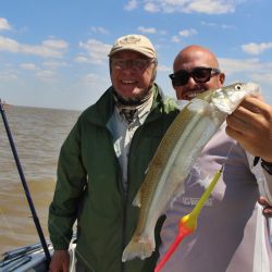 El Río de la Plata sigue brindándonos la chance de pescar pejerreyes, solos o combinando con bagres de mar y tarariras, otras especies para disfrutar en este momento del año. 
