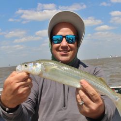 El Río de la Plata sigue brindándonos la chance de pescar pejerreyes, solos o combinando con bagres de mar y tarariras, otras especies para disfrutar en este momento del año. 