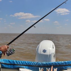 El Río de la Plata sigue brindándonos la chance de pescar pejerreyes, solos o combinando con bagres de mar y tarariras, otras especies para disfrutar en este momento del año. 