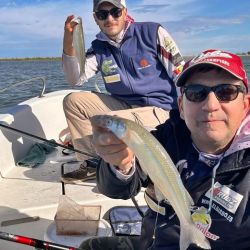A diferencia de la salida anterior, a los pejes había que clavarlos. Estar desatento significaba no concretar la captura. 