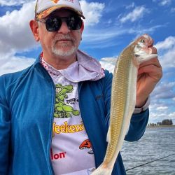 A diferencia de la salida anterior, a los pejes había que clavarlos. Estar desatento significaba no concretar la captura. 