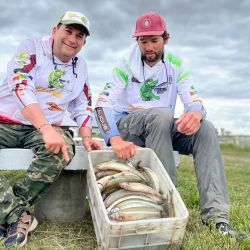 A diferencia de la salida anterior, a los pejes había que clavarlos. Estar desatento significaba no concretar la captura. 