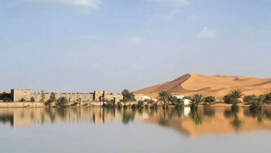 Increíble: mirá cómo se inundó el desierto de Sahara1