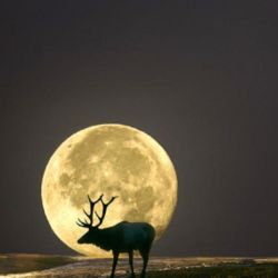 Se trata de la superluna más imponente del año.