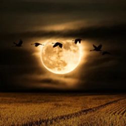 Está marcada por tradiciones ancestrales. 