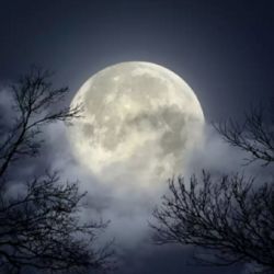 Este año también será superluna.