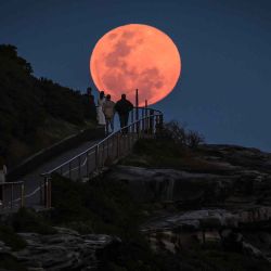 Una superluna se eleva detrás de personas que se encuentran en un promontorio cerca de Bondi Beach, Sydney. Foto de DAVID GRAY / AFP | Foto:AFP