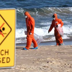 Los trabajadores con trajes protectores realizan una operación de limpieza para retirar las "bolas de alquitrán" a base de petróleo que llegaron a la playa de Coogee en Sydney. Foto de David GRAY / AFP | Foto:AFP