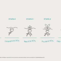 Las 5 etapas del Negocio: descubre en qué fase estás y cómo superar los desafíos | Foto:CEDOC