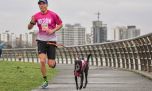 Dogrun 2024: una carrera para participar y disfrutar con nuestros perros 