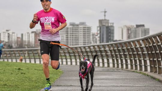 Dogrun2024: una carrera para participar y disfrutar con nuestros perros