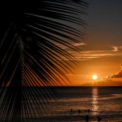 Los bañistas se bañan al atardecer en una playa cerca de Fort-de-France, en la isla caribeña francesa de Martinica. Foto de Philippe LOPEZ / AFP | Foto:AFP