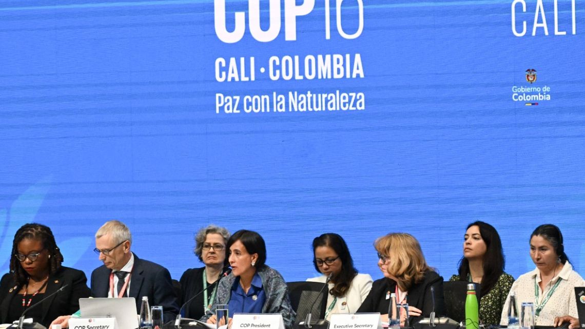 General view of the opening ceremony of the COP16 summit in Cali, Colombia, on October 21, 2024. The world's biggest nature protection conference opened in Colombia