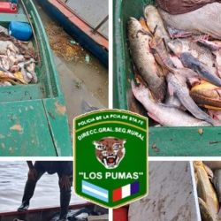Las piezas ictícolas decomisadas fueron desnaturalizadas como parte del procedimiento. 