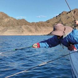 Se permitirá la pesca sin restricciones en la cantidad de piezas, siempre y cuando se obtenga el permiso oficial, disponible en comercios relacionados con la actividad.