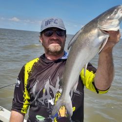 La exquisitez de su carne, carente de espinas como toda especie de cuero y/o piel, lo vuelve una atracción para el cañófilo.