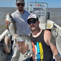 La exquisitez de su carne, carente de espinas como toda especie de cuero y/o piel, lo vuelve una atracción para el cañófilo.