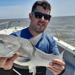 La exquisitez de su carne, carente de espinas como toda especie de cuero y/o piel, lo vuelve una atracción para el cañófilo.