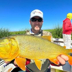 Combativos dorados en una modalidad muy atractiva como el baitcast al vadeo. 