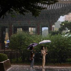 Los peatones usan paraguas para protegerse de la lluvia durante un fuerte aguacero en Seúl. Foto de ANTHONY WALLACE / AFP | Foto:AFP