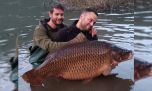 Pescan una carpa gigante que bate récords