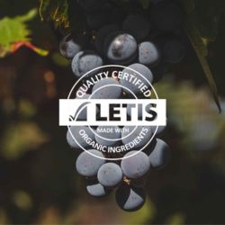 Bodega Araujo, vinos 100% Veganos | Foto:CEDOC