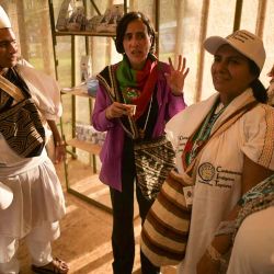 La ministra de Medio Ambiente de Colombia y presidenta de la COP16, Susana Muhamad habla con líderes indígenas en la zona verde de la cumbre COP16 en Cali. Foto de JOAQUIN SARMIENTO / AFP | Foto:AFP