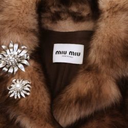 Miu Miu es una de las firmas más posicionadas de 2024