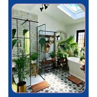 La botánica en tu casa