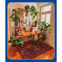 La botánica en tu casa