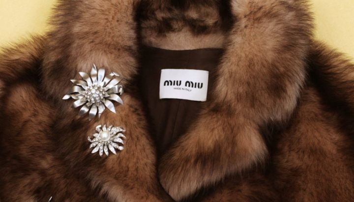 Miu Miu y Loewe lideran el ranking global de marcas de moda más buscadas en 2024