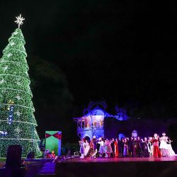 Curitiba está a dos horas y media en avión de Buenos Aires. Allí se celebra la navidad desde noviembre y ofrece un sinnúmero de actividades turísticas.