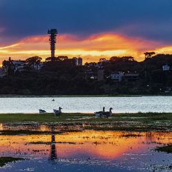 Curitiba está a dos horas y media en avión de Buenos Aires. Allí se celebra la navidad desde noviembre y ofrece un sinnúmero de actividades turísticas.
