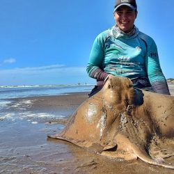 Joaquín Schiavi los busca todas las veces que puede en la zona de San Clemente del Tuyú, y no le va nada mal. En su scouting también captura otras especies de la clásica variada, como palometas y corvinas.