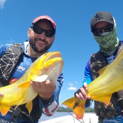 Octubre se despide con una importante cantidad de destinos que atraviesan un buen momento de pesca.