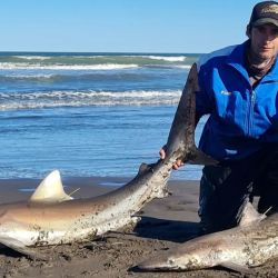 Octubre se despide con una importante cantidad de destinos que atraviesan un buen momento de pesca.