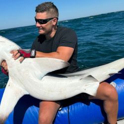 Octubre se despide con una importante cantidad de destinos que atraviesan un buen momento de pesca.