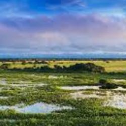 El lema “Paz con la Naturaleza” es un llamado a la reflexión para mejorar la relación que tenemos con el ambiente, 