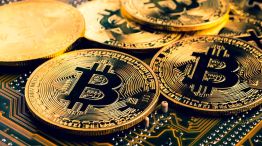 26102024_bitcoin_shutterstock_g