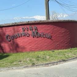 La bodega Cousiño Macul, ubicada a media hora del centro de Santiago de Chile, es un oasis centenario que también tiene actividades para chicos en un sector alcohol free.