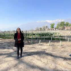 La bodega Cousiño Macul, ubicada a media hora del centro de Santiago de Chile, es un oasis centenario que también tiene actividades para chicos en un sector alcohol free.