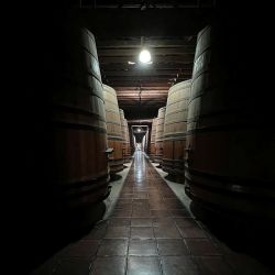 La bodega Cousiño Macul, ubicada a media hora del centro de Santiago de Chile, es un oasis centenario que también tiene actividades para chicos en un sector alcohol free.